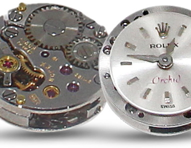 Rolex Orchid